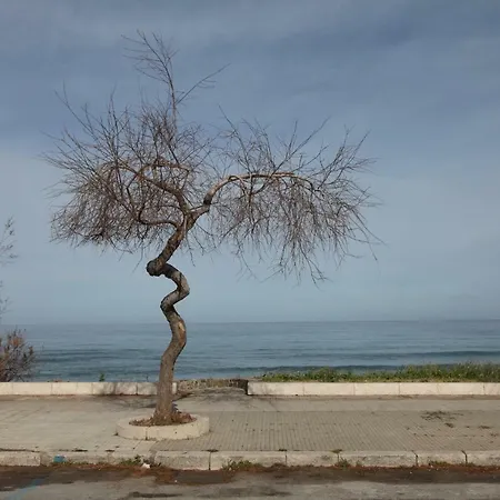 Emma's House * 切法卢